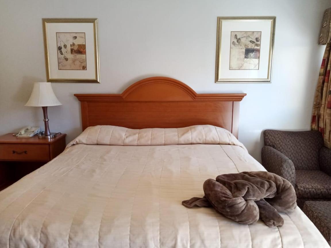 Hotel Posada Del Desierto Heroica Caborca Bagian luar foto